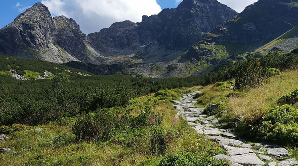 What UK Families Should Know Before Sending a Loved One to Rehab abroad