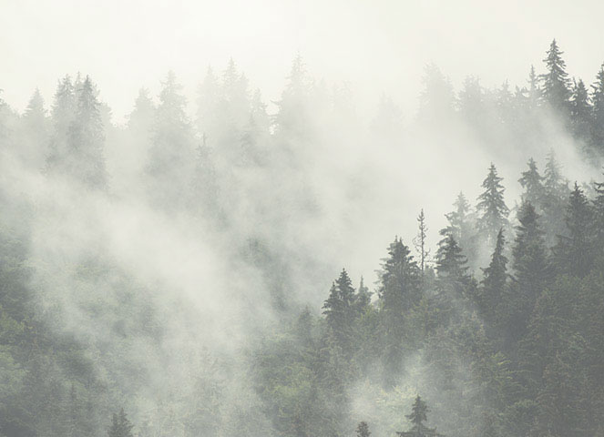 Quiet