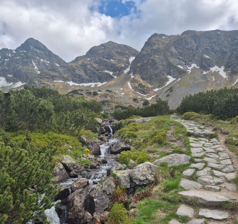 Mountain Trail