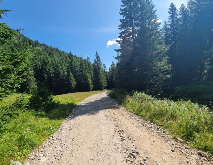 Leaving The Mountain