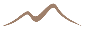 Verity Swish Icon